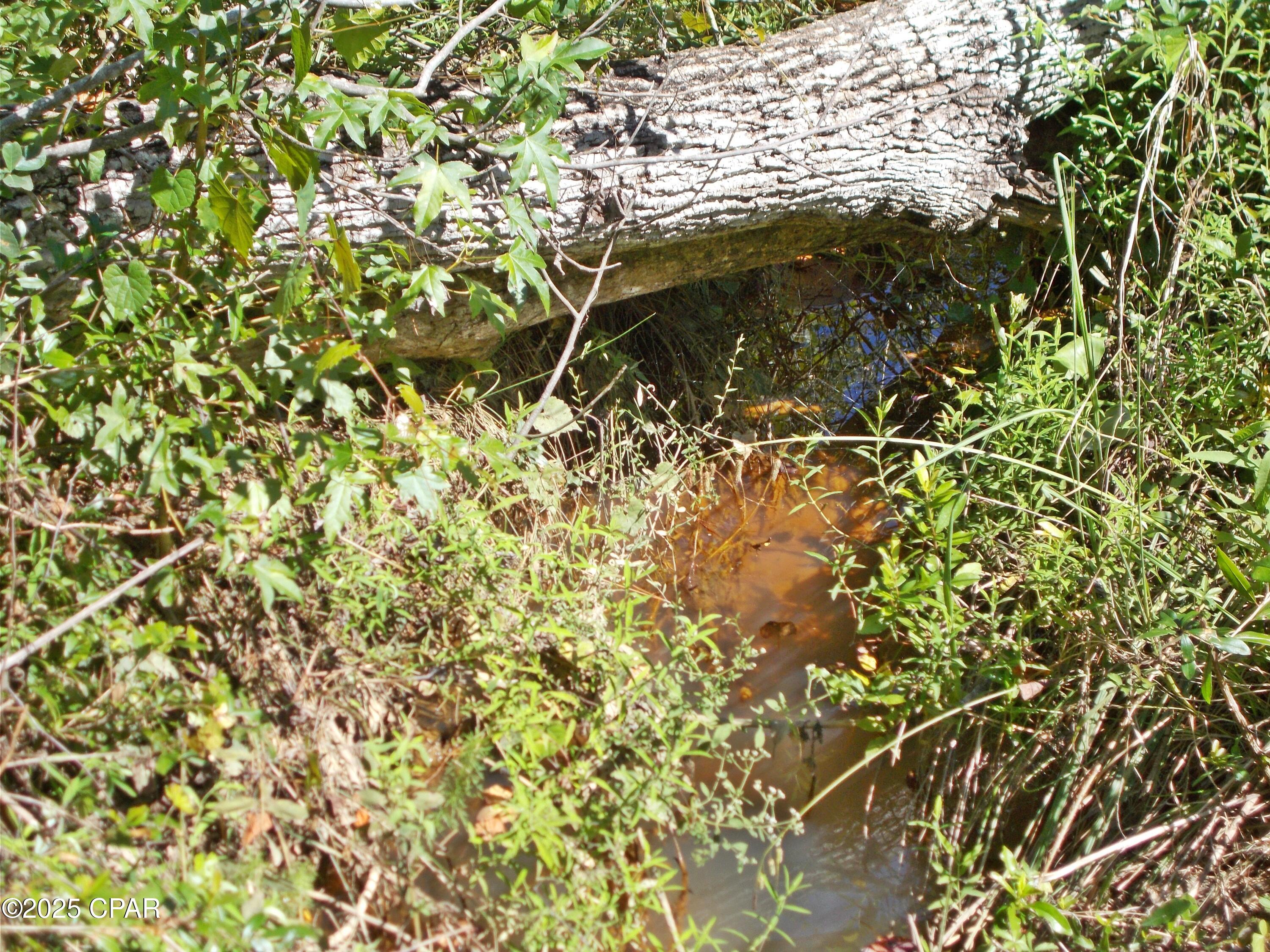 Image 24 For 702 Moonseed Lane