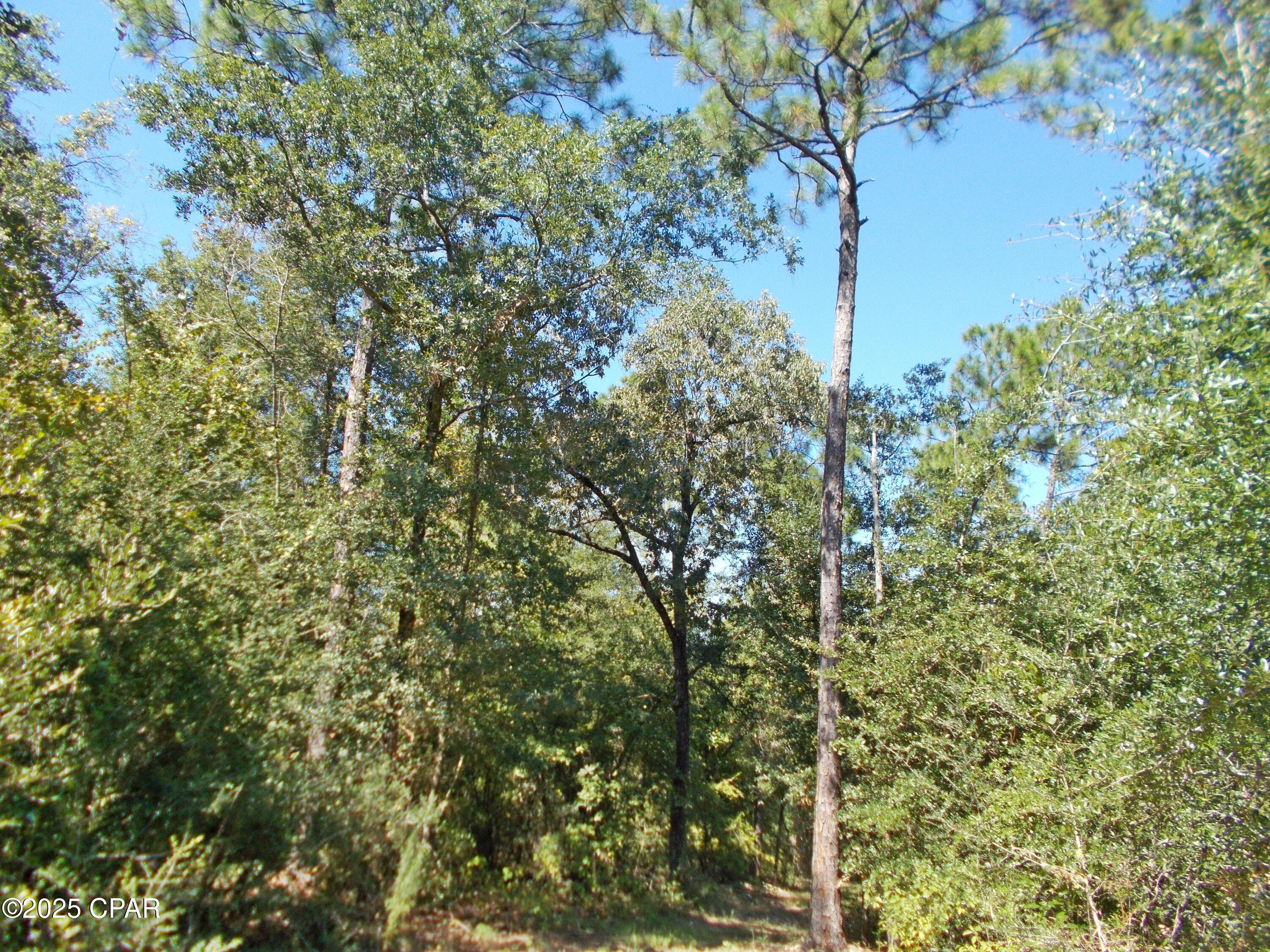 Image 25 For 702 Moonseed Lane