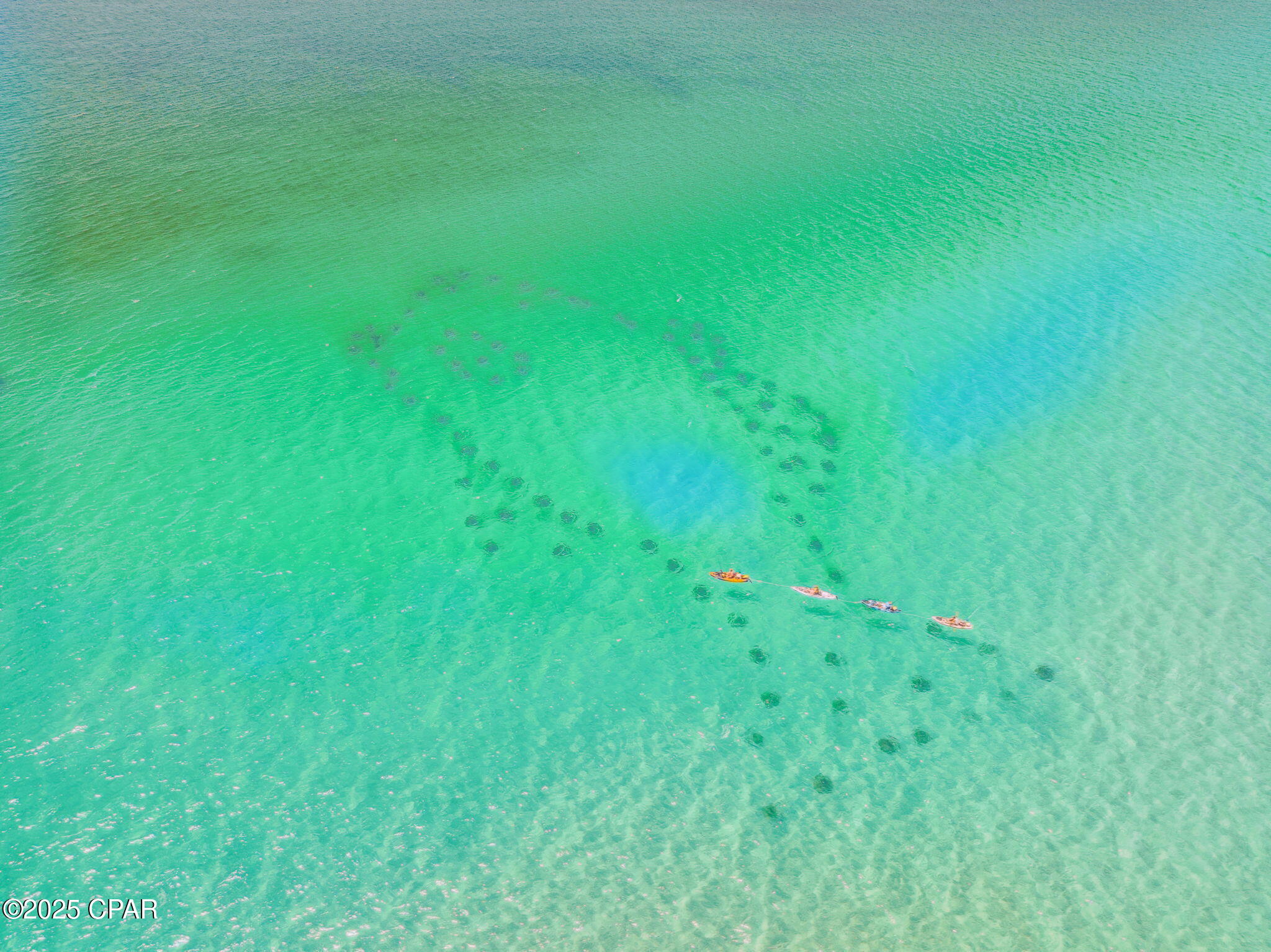 Image 61 For 93 Emerald Cove Lane