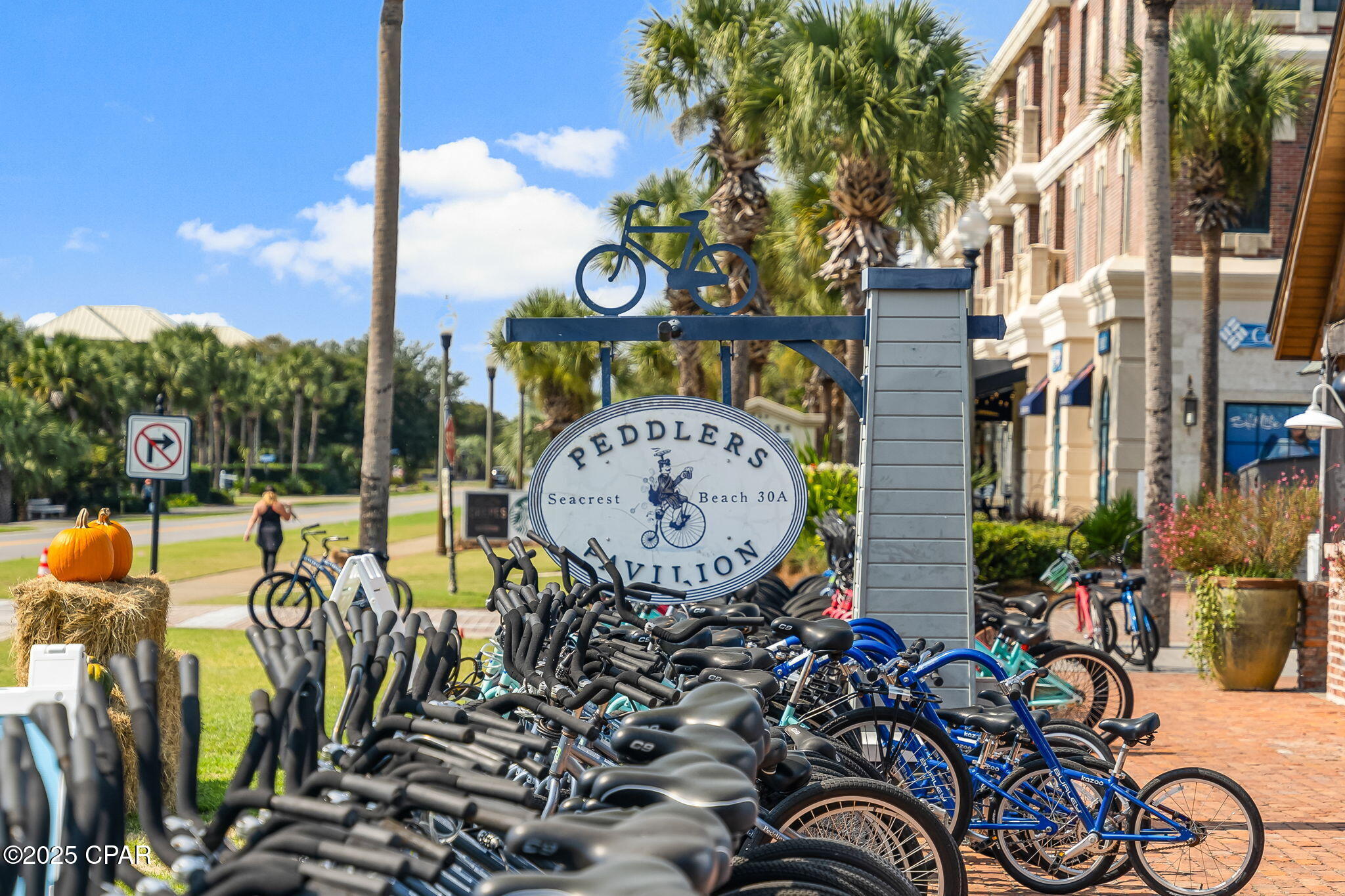 Listing photo id 63 for 93 Emerald Cove Lane