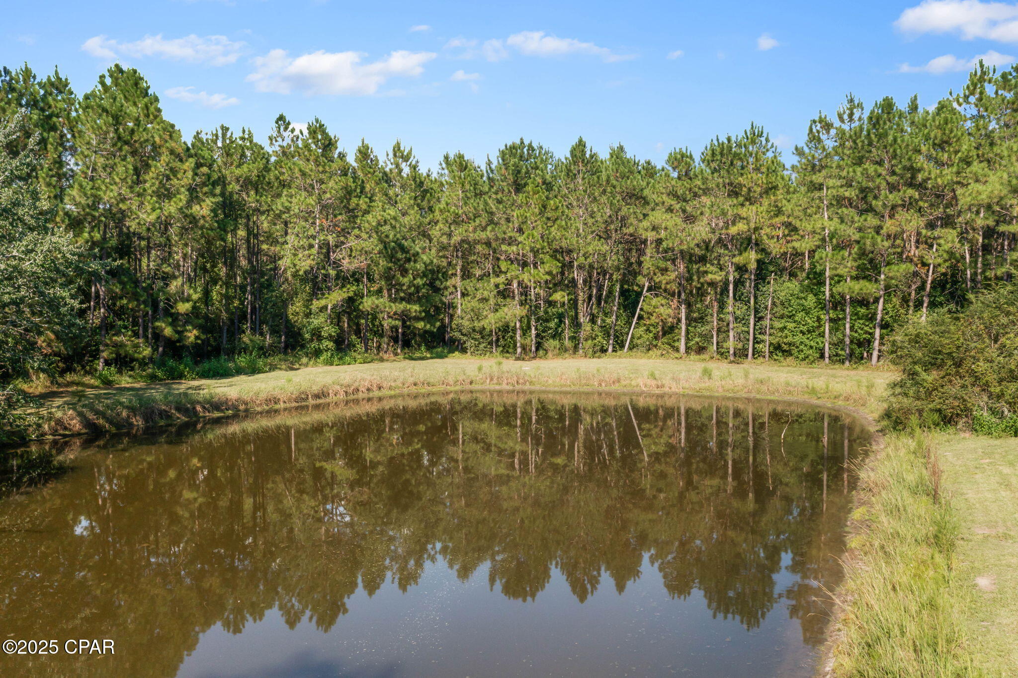 Image 84 For 630 Hutchison Road