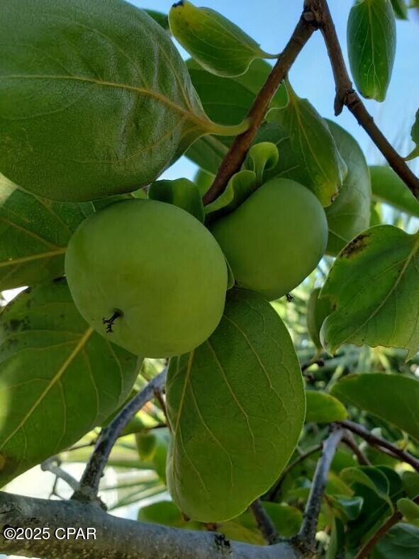 Image 52 For 6940 Yellow Bluff Road