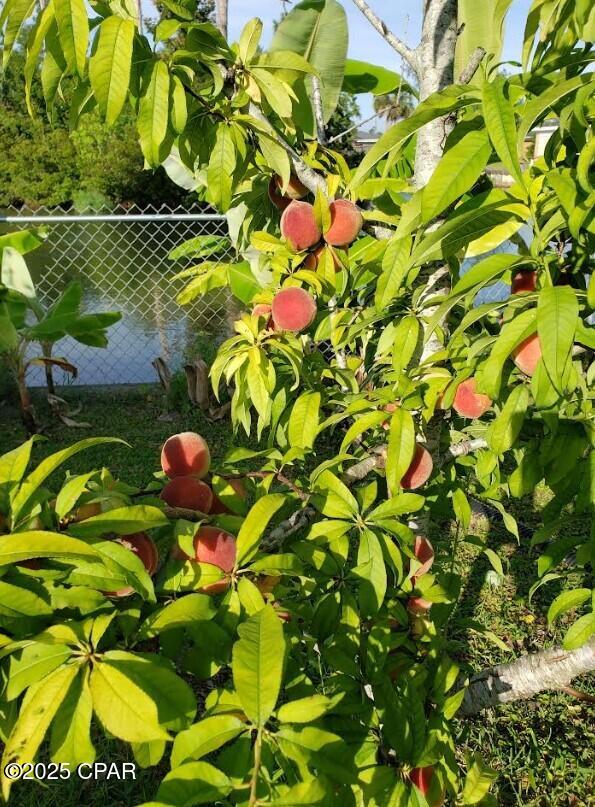 Image 56 For 6940 Yellow Bluff Road