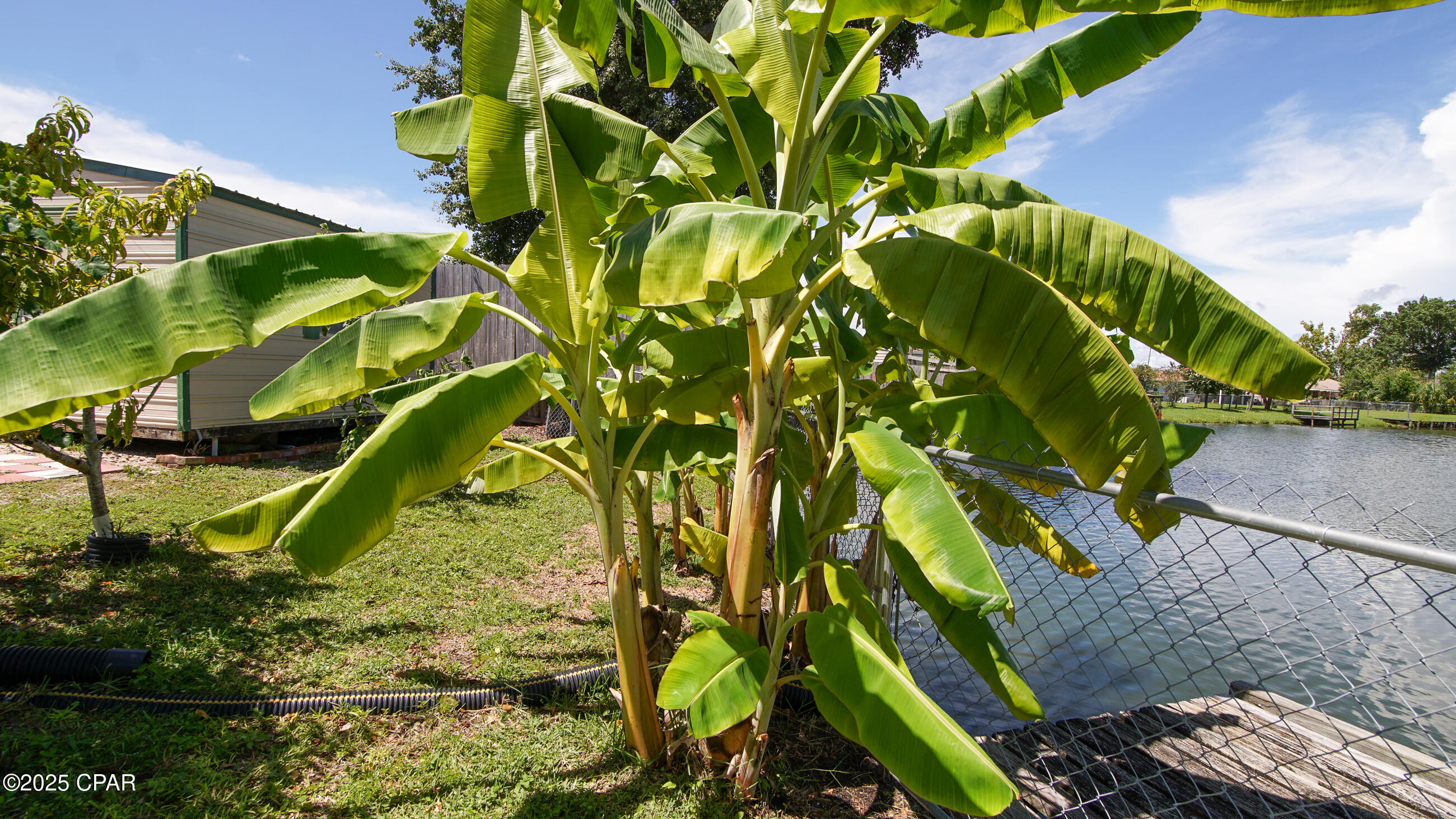 Image 57 For 6940 Yellow Bluff Road