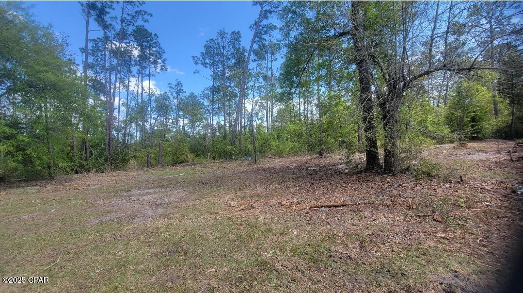 Image 3 For 3820 Highway 388