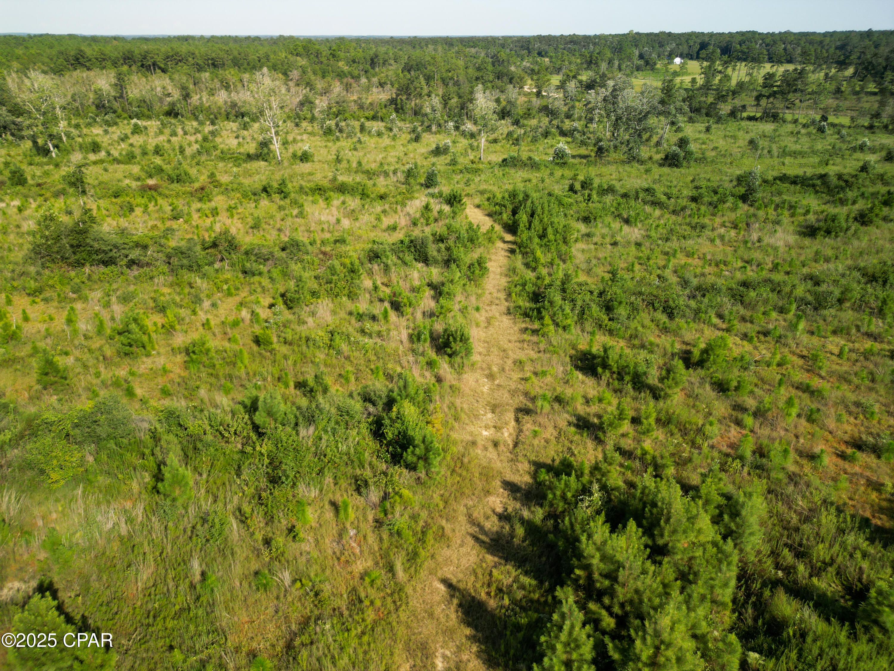 Image 12 For East Side Lake Victor Road