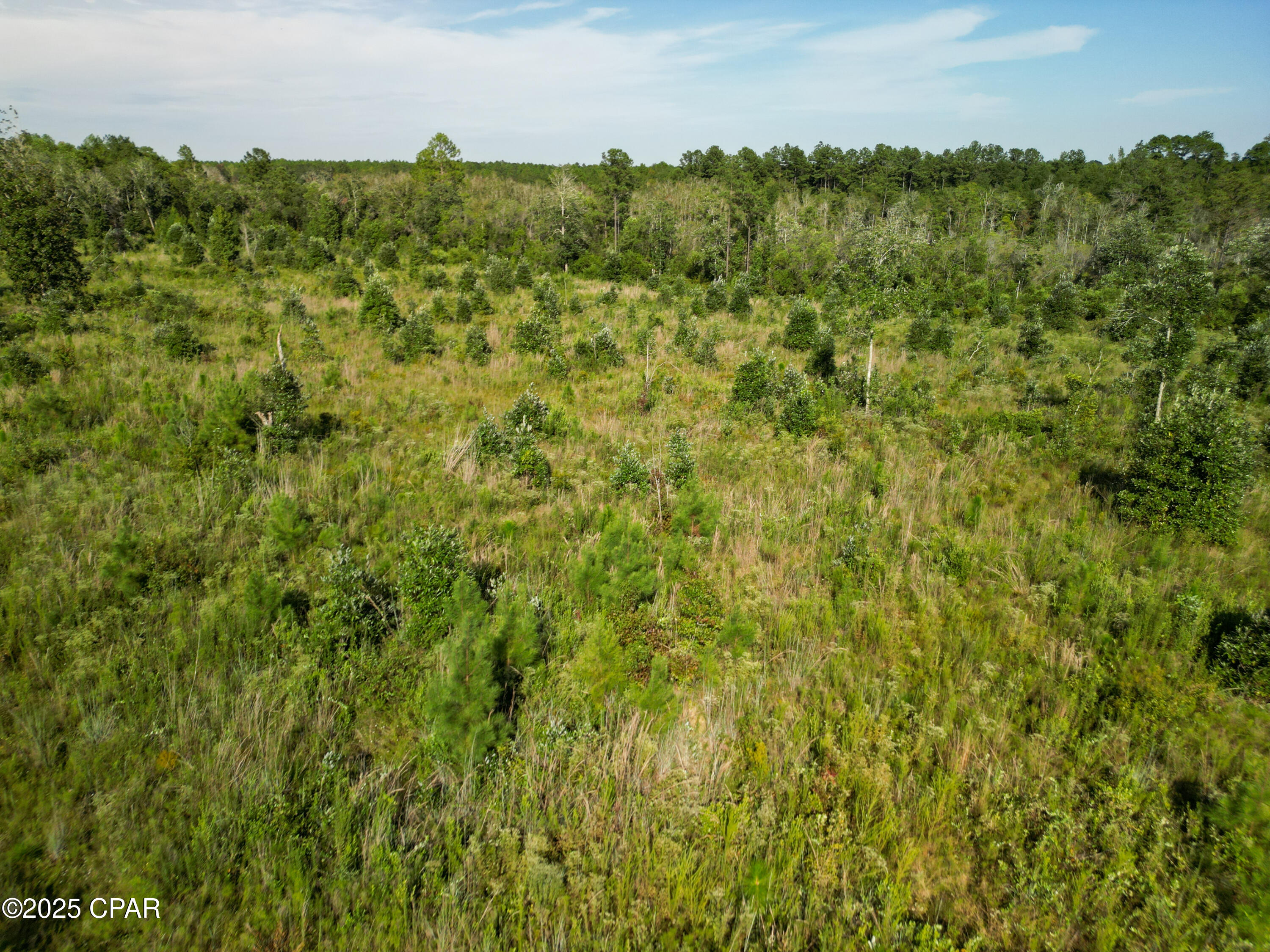 Image 13 For East Side Lake Victor Road