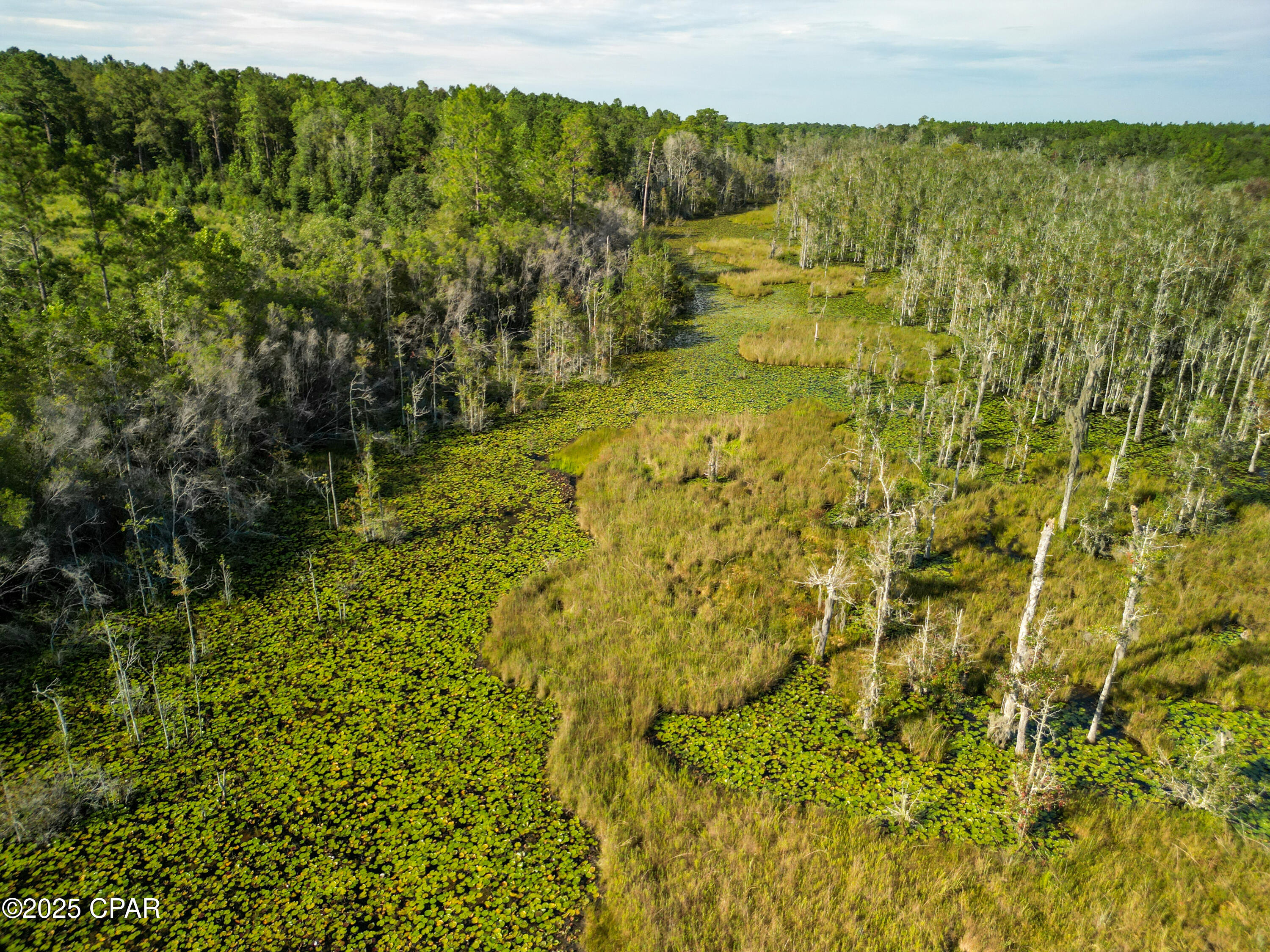 Image 14 For East Side Lake Victor Road