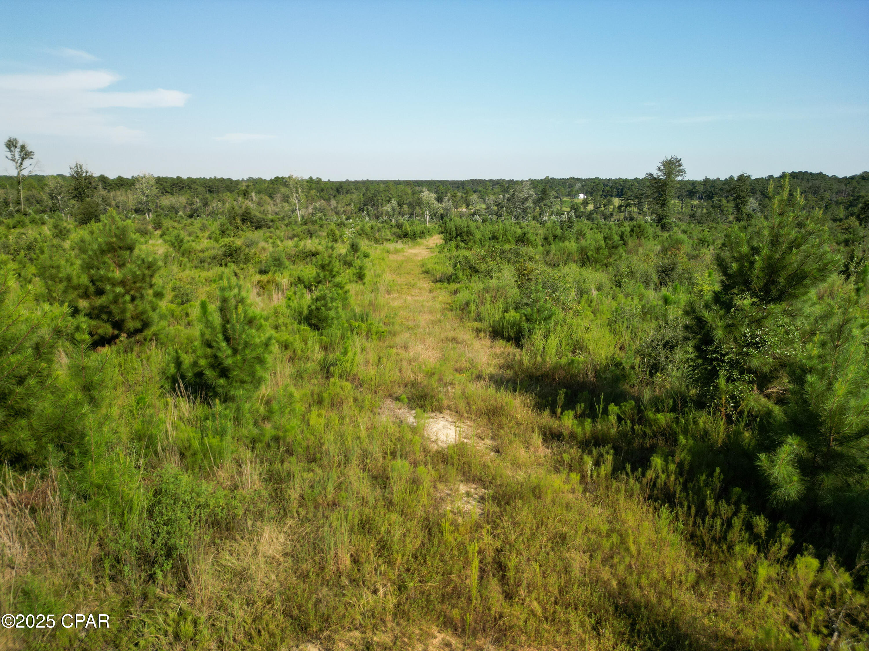 Image 15 For East Side Lake Victor Road