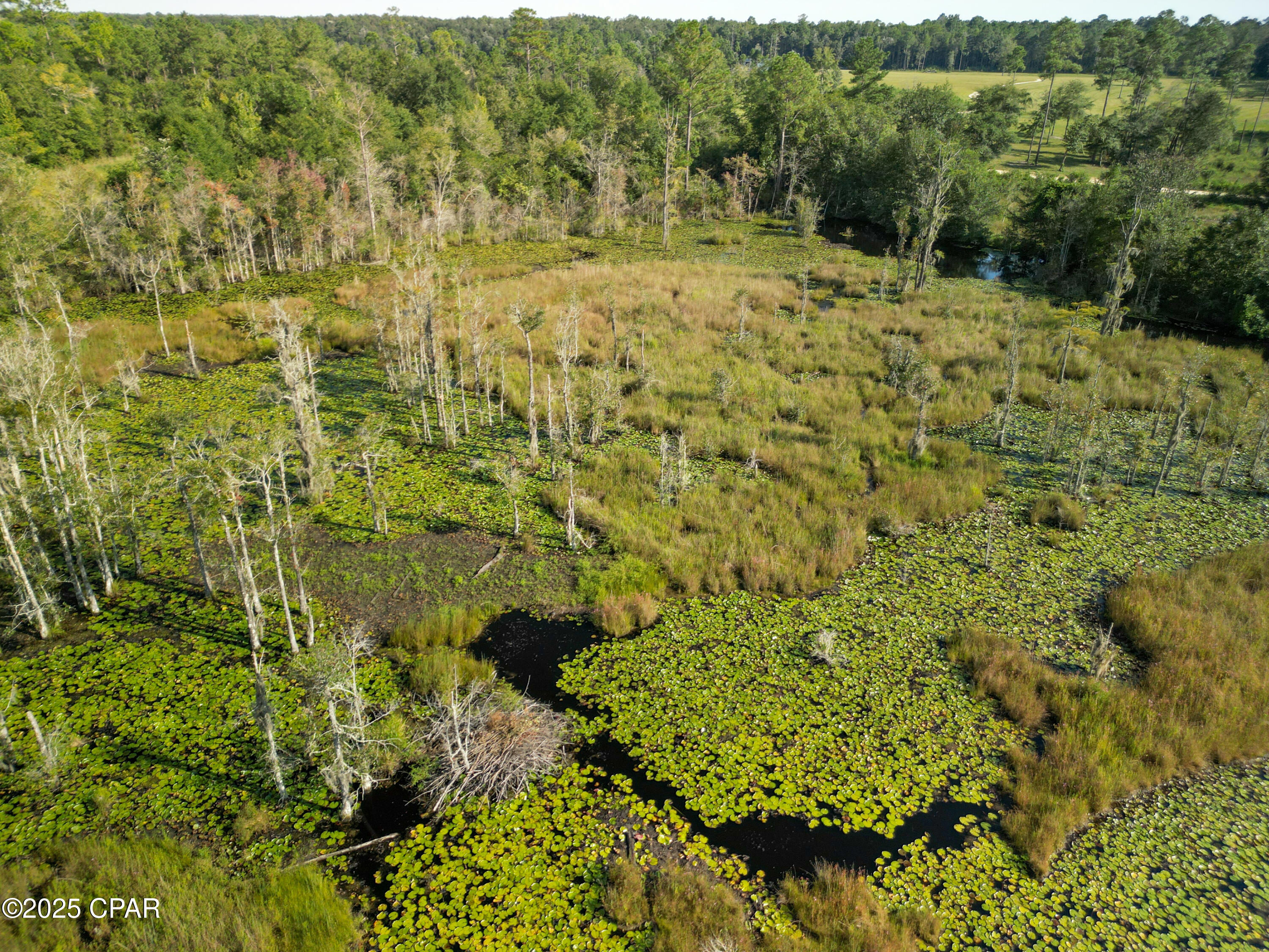 Image 4 For East Side Lake Victor Road