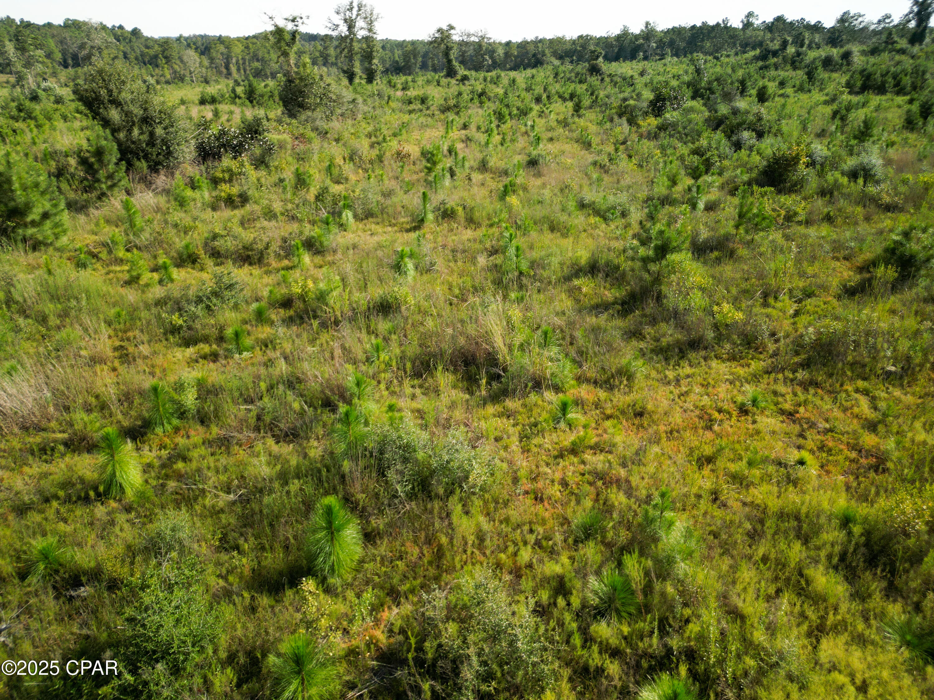 Image 5 For East Side Lake Victor Road