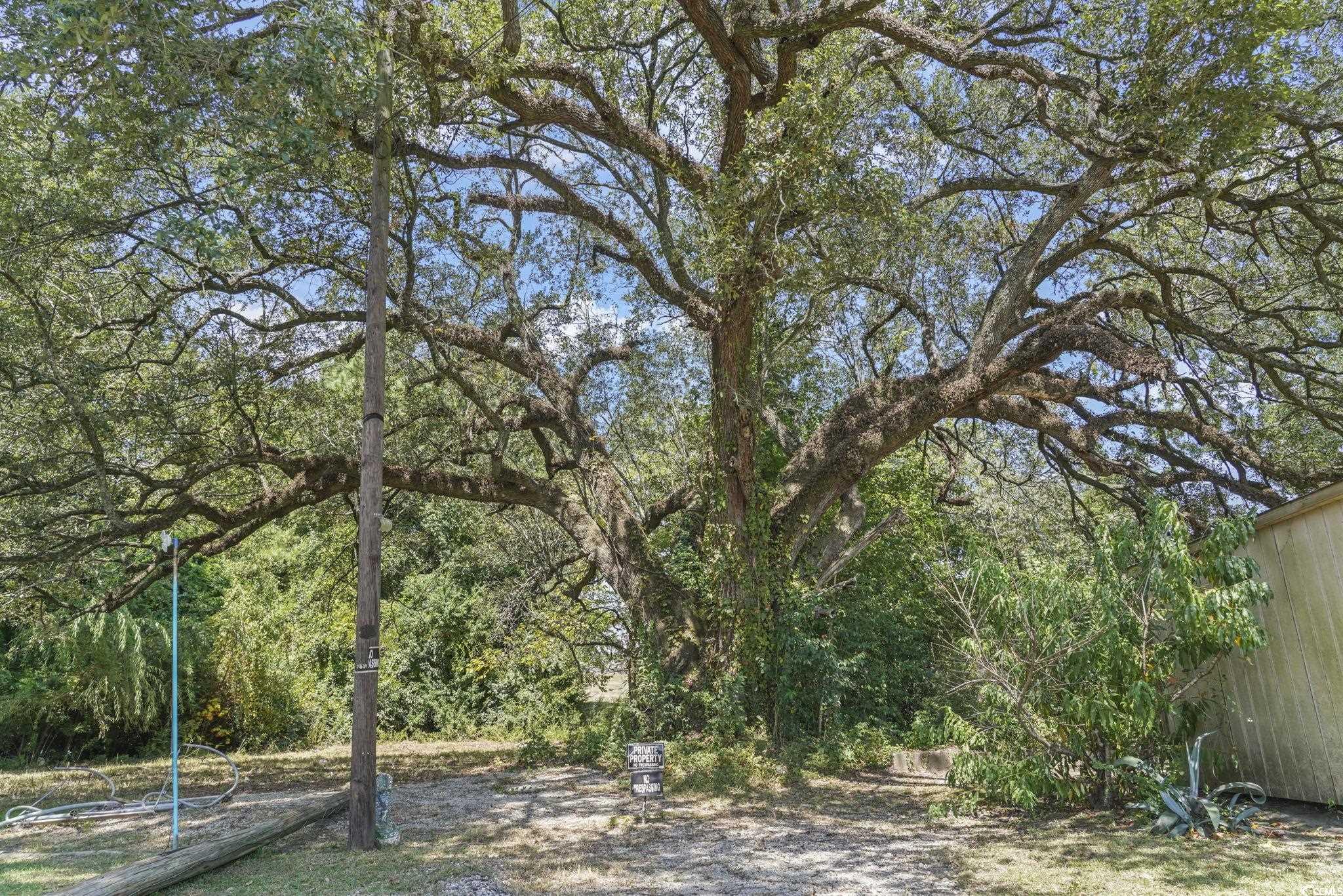 411 Apple Ln. Conway, SC 29526