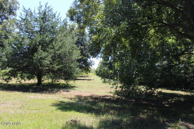 Image 47 For 1538 Highway 79