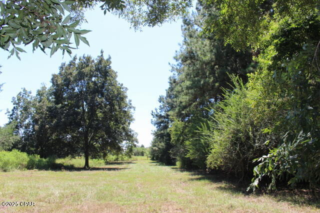 Image 52 For 1538 Highway 79