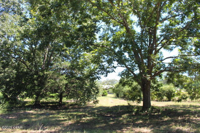 Image 53 For 1538 Highway 79