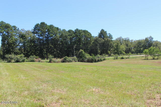 Image 62 For 1538 Highway 79