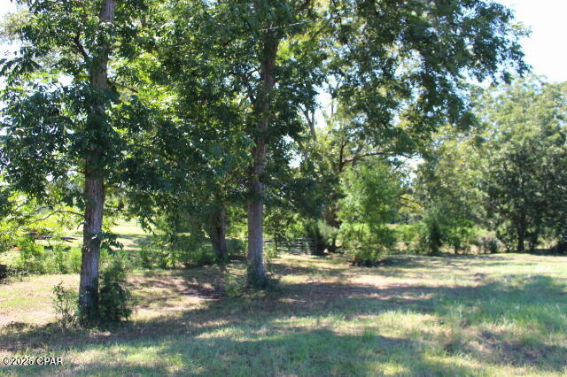 Image 73 For 1538 Highway 79