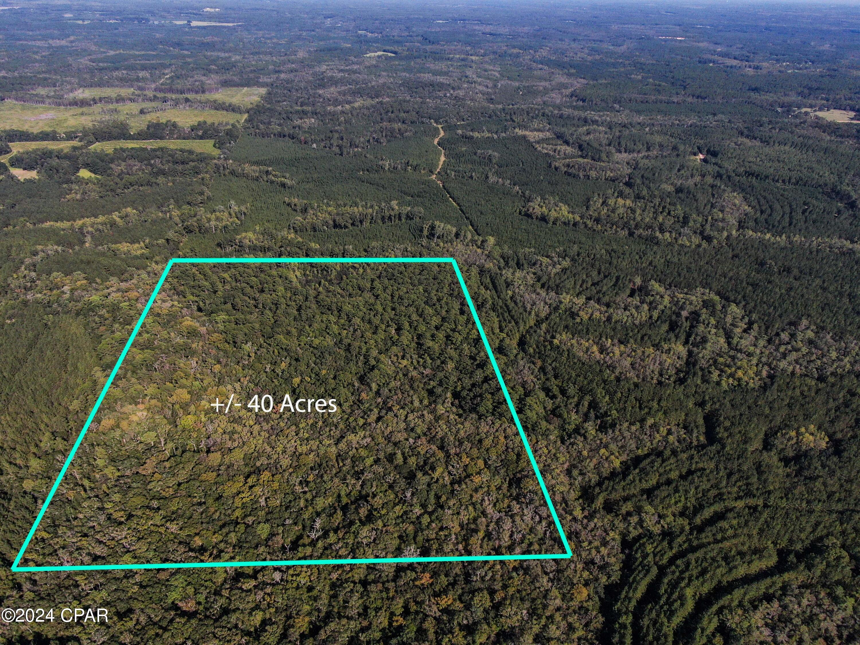 Image 2 For 00 Clemmons Road