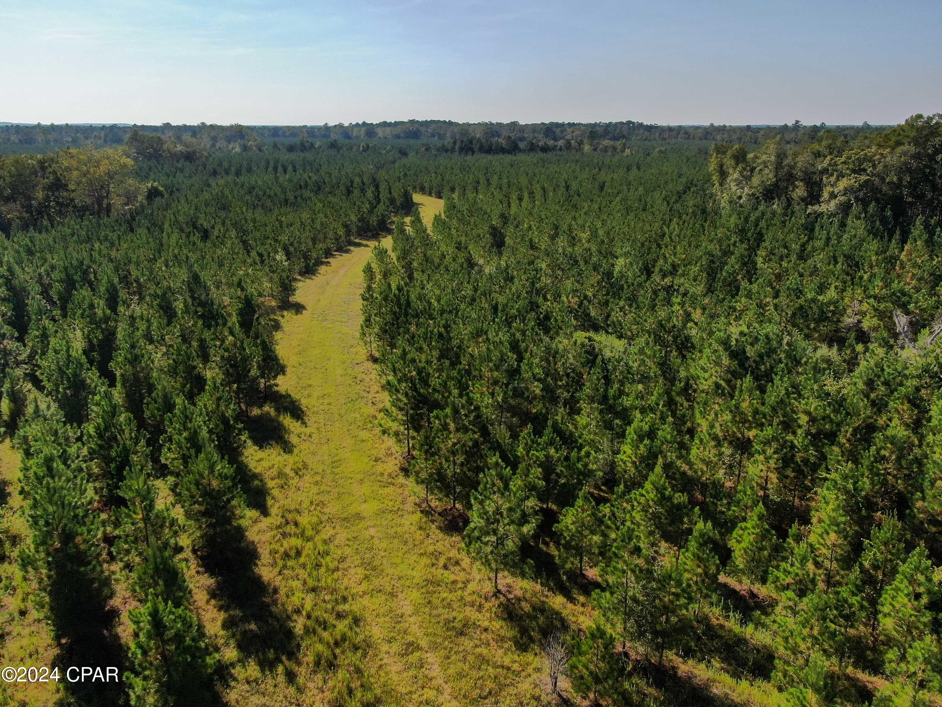 Image 5 For 00 Clemmons Road