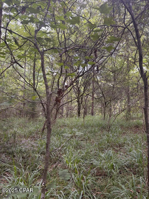 Image 10 For 0 Pt Milligan Road