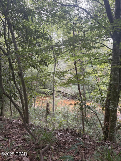 Image 11 For 0 Pt Milligan Road