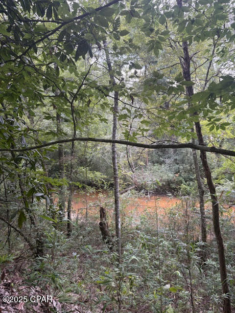 Image 12 For 0 Pt Milligan Road