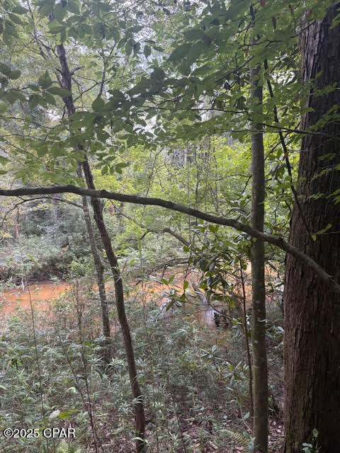 Image 13 For 0 Pt Milligan Road