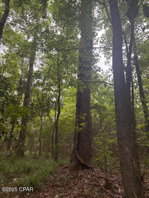 Image 14 For 0 Pt Milligan Road