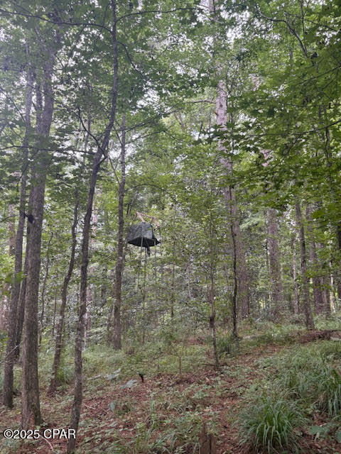 Image 15 For 0 Pt Milligan Road