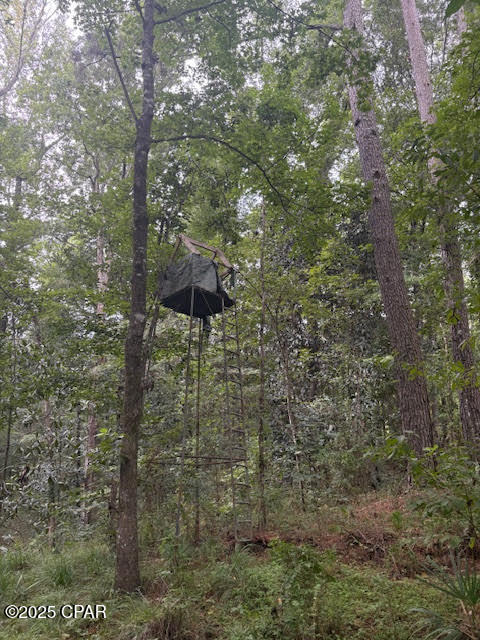 Image 16 For 0 Pt Milligan Road