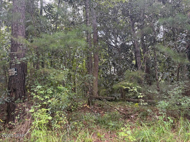 Image 18 For 0 Pt Milligan Road