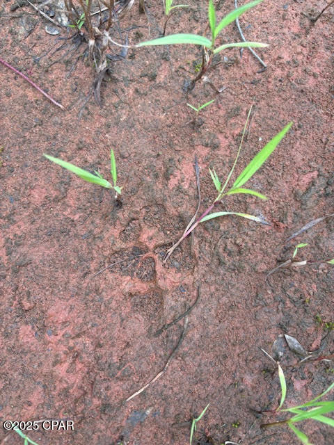 Image 19 For 0 Pt Milligan Road