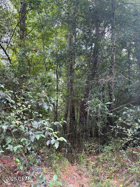 Image 3 For 0 Pt Milligan Road