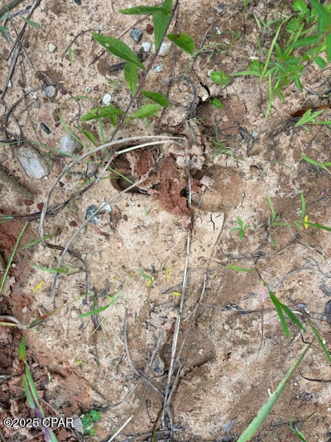 Image 4 For 0 Pt Milligan Road