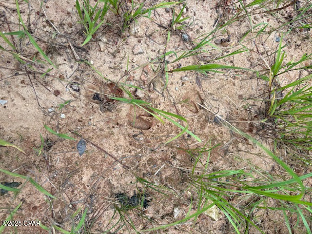 Homes for sale in Quincy, FL | 0 Pt Milligan Rd, Quincy, FL 32352 | MLS# 778755