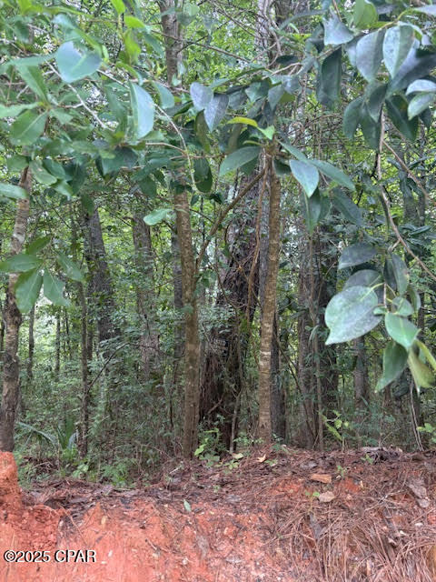 Image 6 For 0 Pt Milligan Road