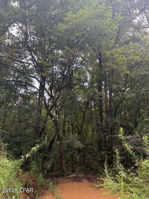 Image 7 For 0 Pt Milligan Road