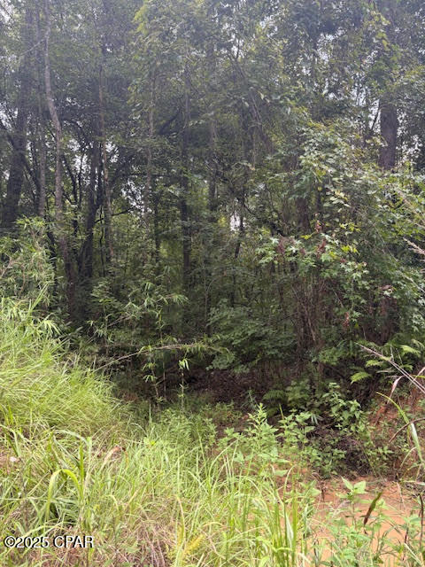 Image 8 For 0 Pt Milligan Road