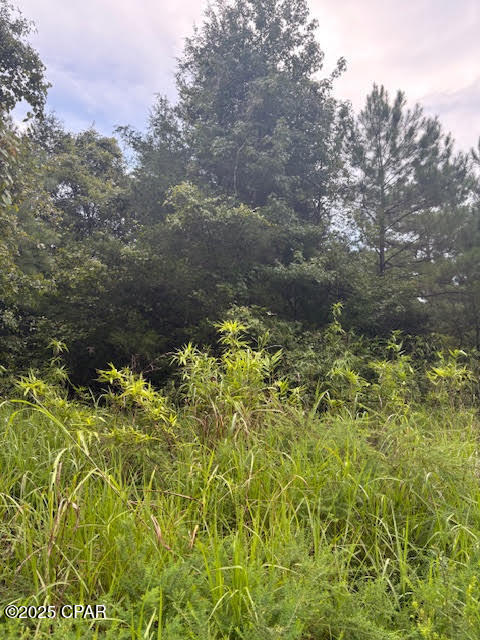 Image 9 For 0 Pt Milligan Road