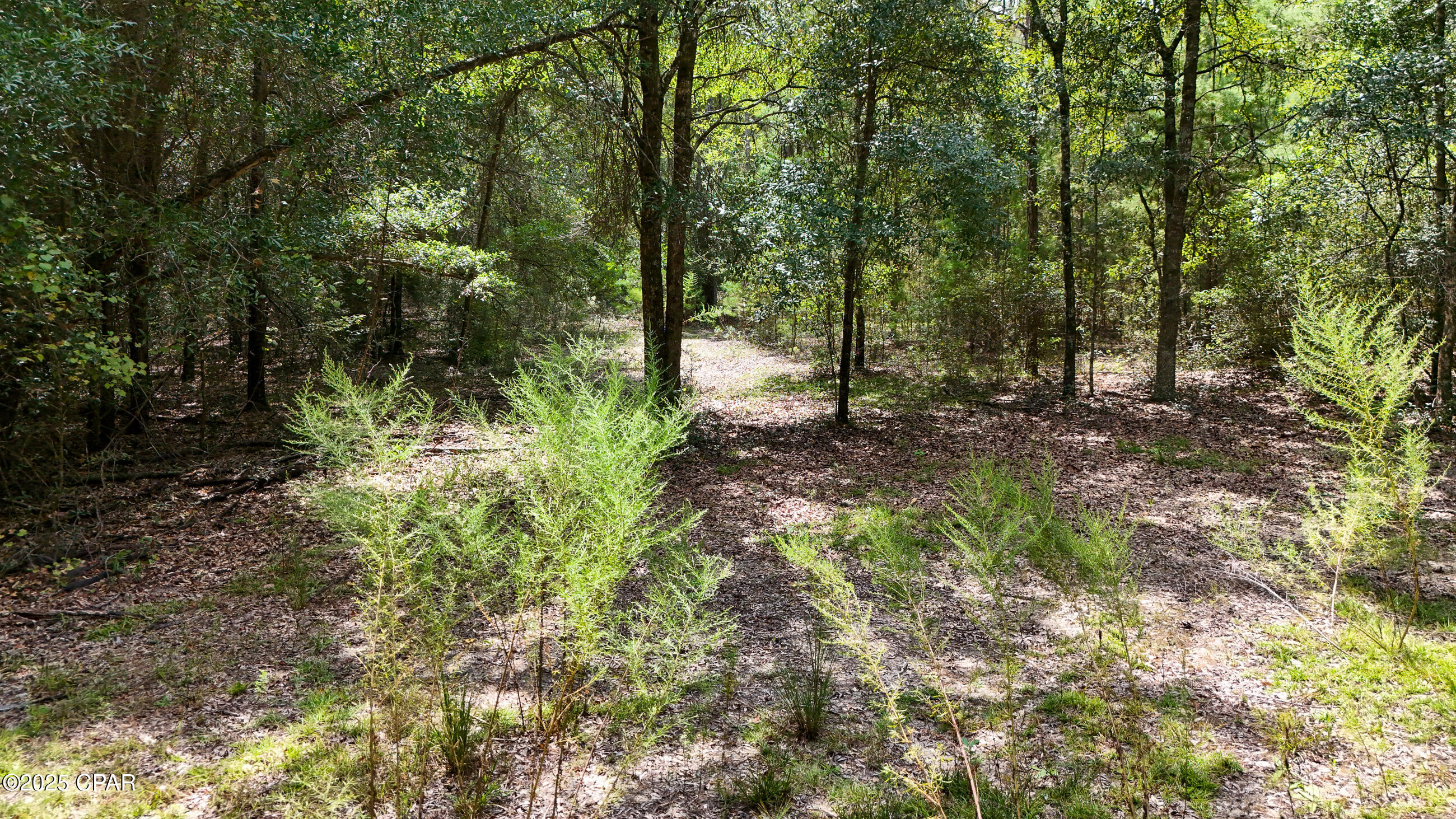 Image 42 For 1730 Firetower Road