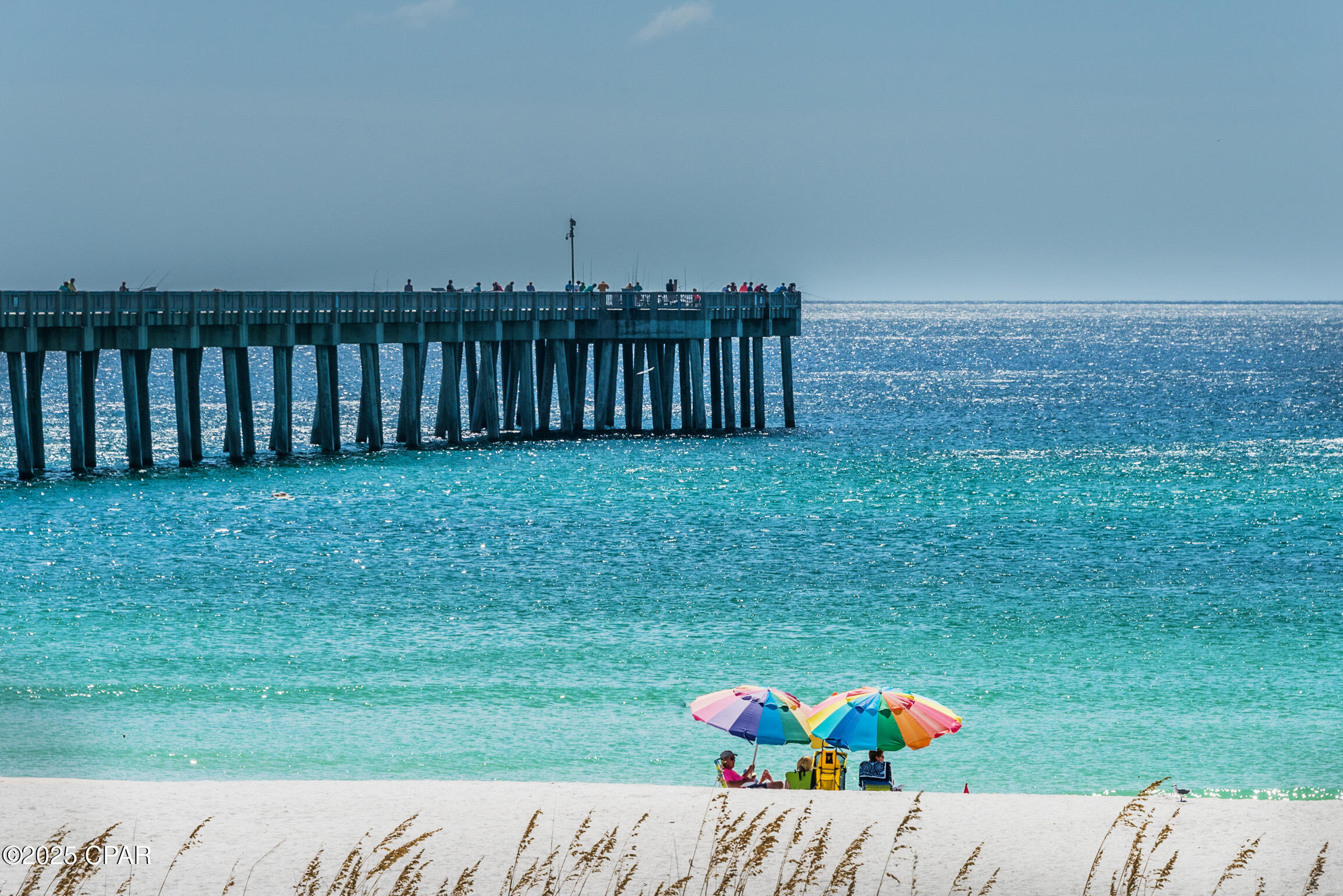 15928 Front Beach Road 3-701