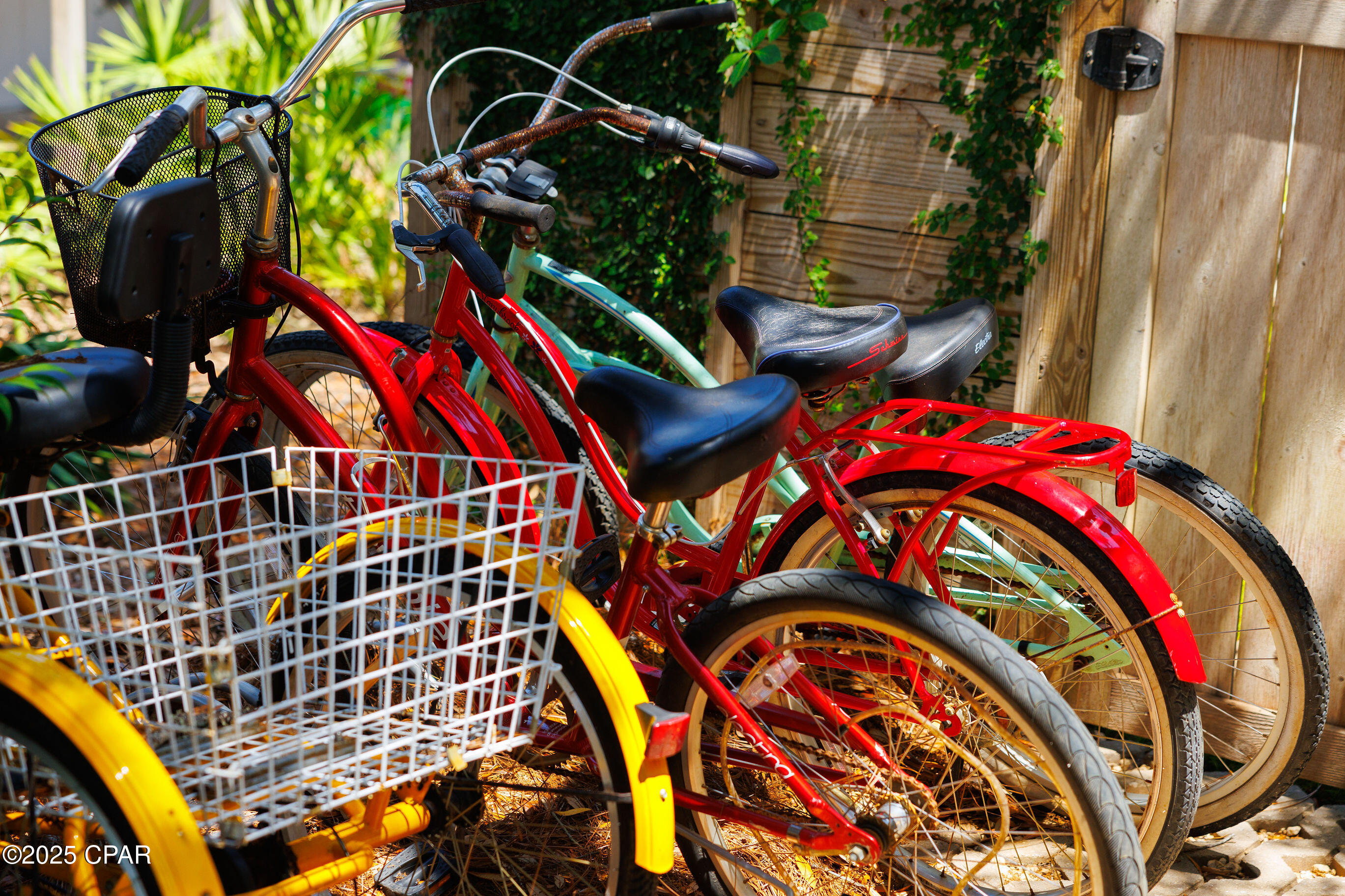 Listing photo id 64 for 50 Camellia Street