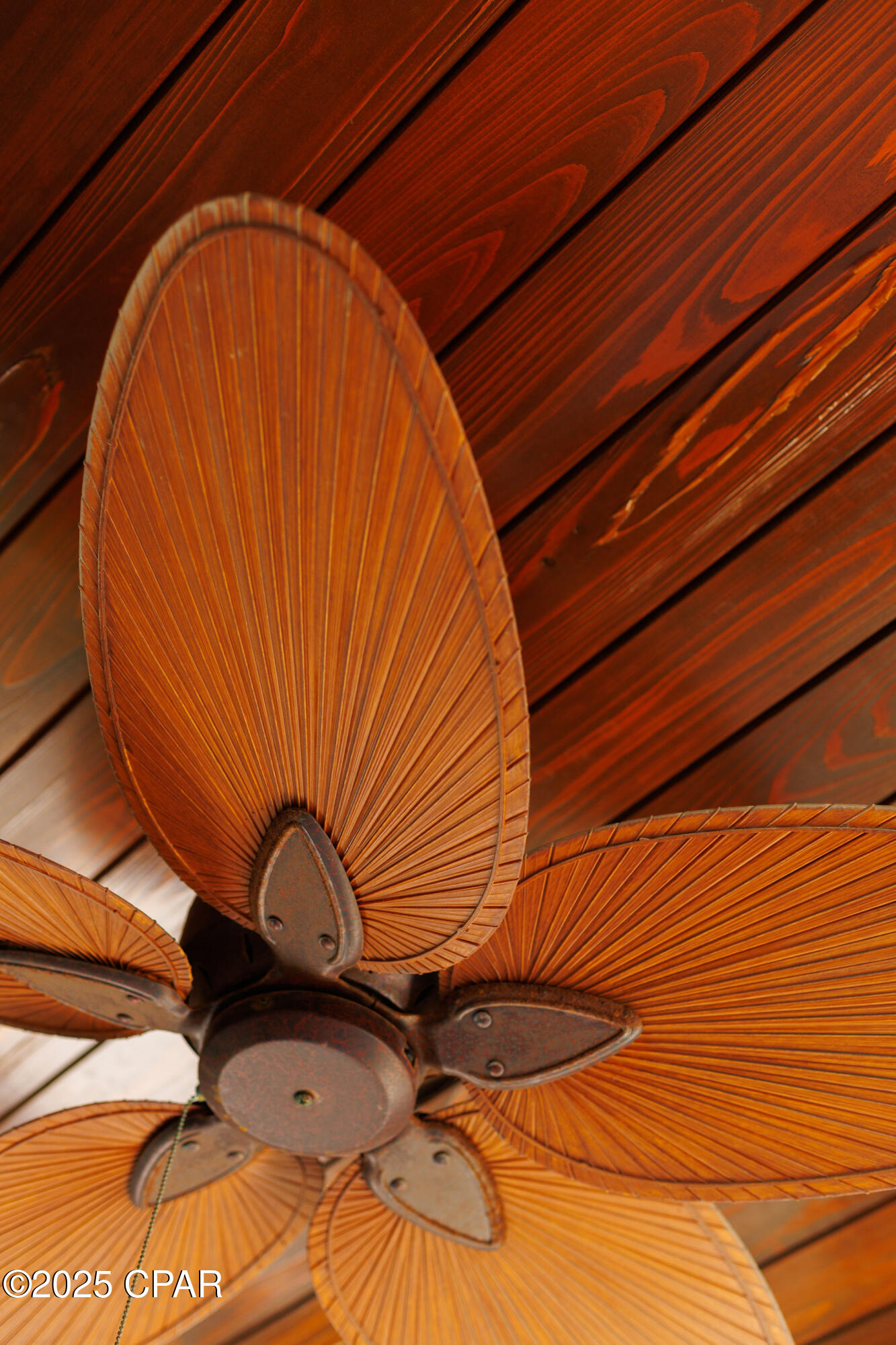 Listing photo id 8 for 50 Camellia Street