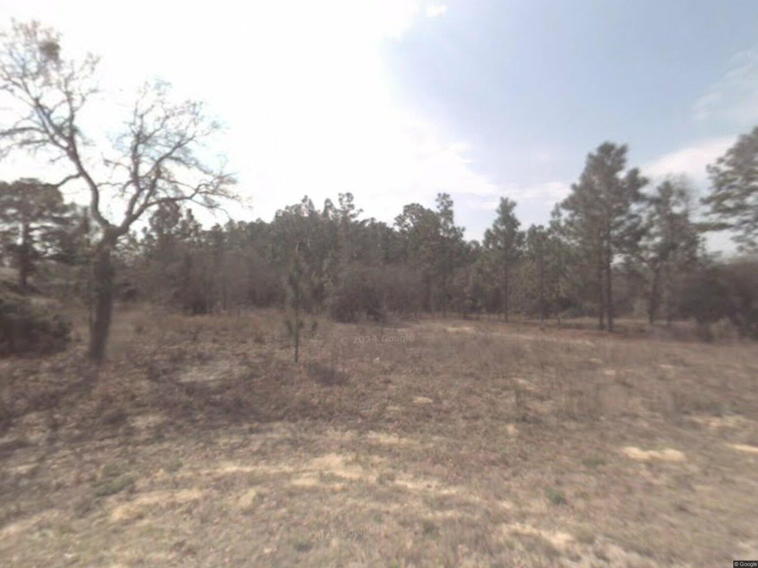 Citrus Springs Unit 22