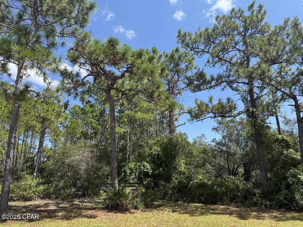 Image 30 For 332 Royal Tern Court