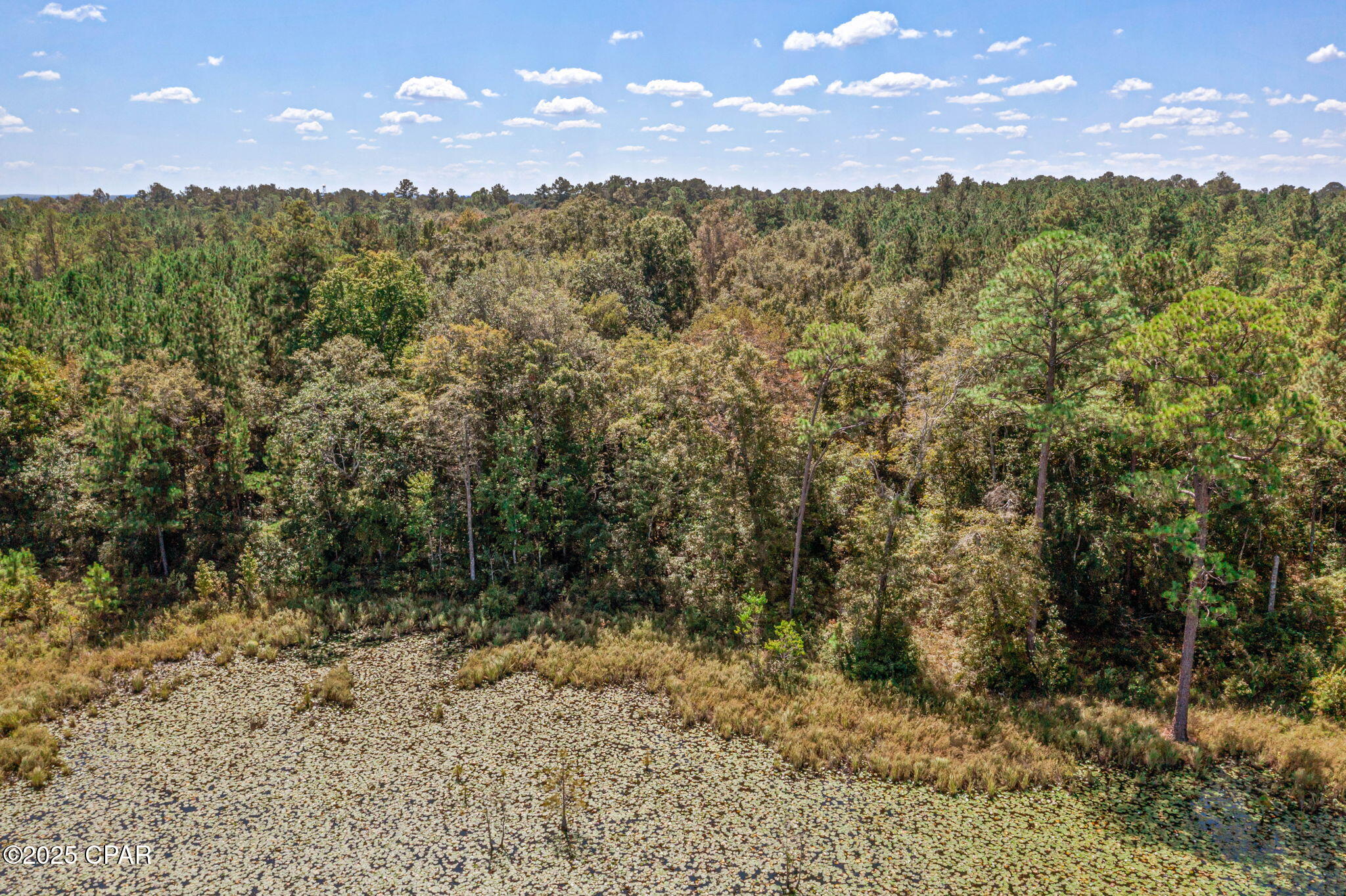 Image 23 For 000 Hwy 162 (tri County Road)