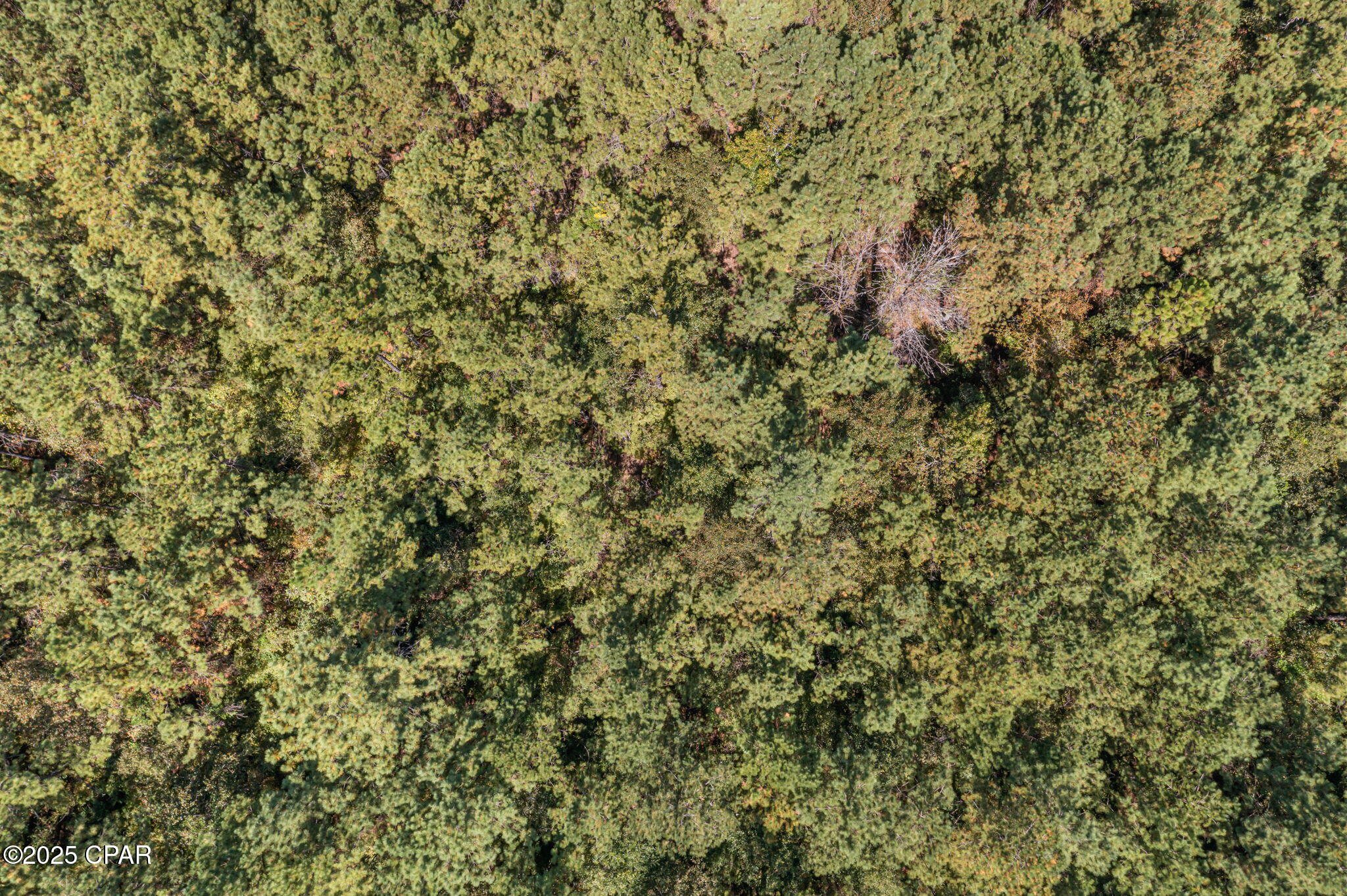 Image 24 For 000 Hwy 162 (tri County Road)