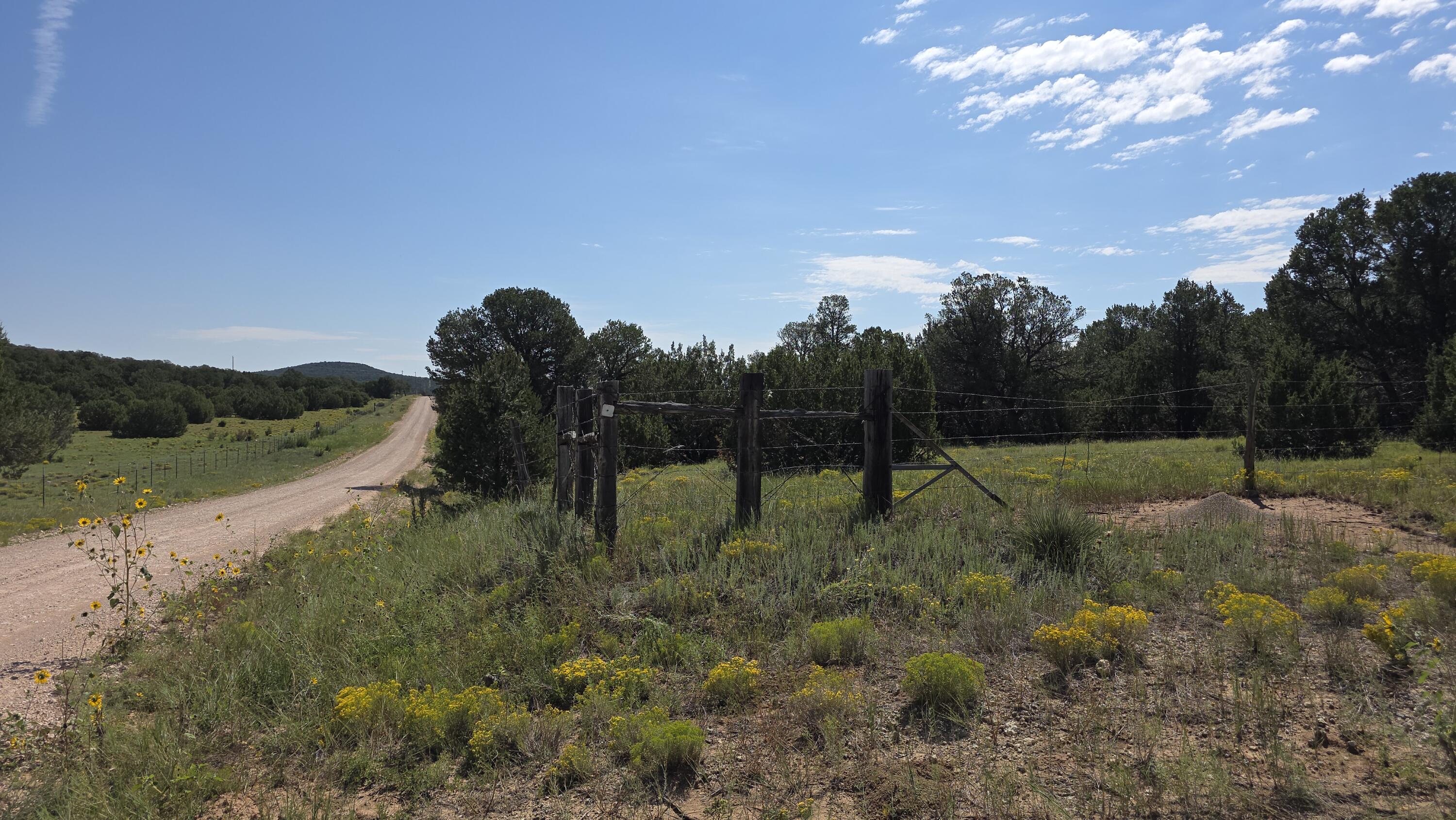 Homes for sale in Estancia, NM | 92 La Miga Canyon Rd, Estancia, NM 87016 | MLS# 1091125