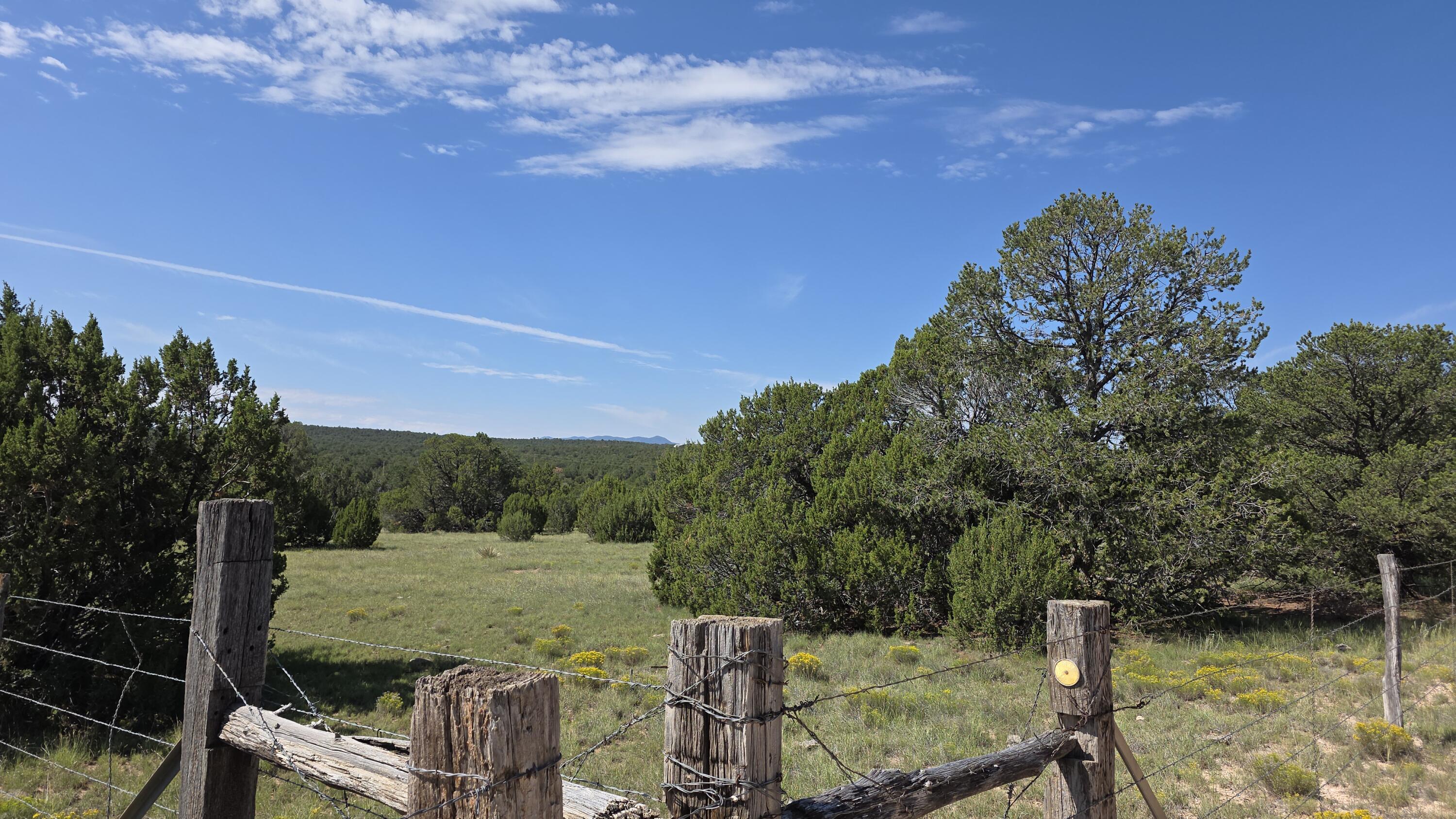 Homes for sale in Estancia, NM | 92 La Miga Canyon Rd, Estancia, NM 87016 | MLS# 1091125