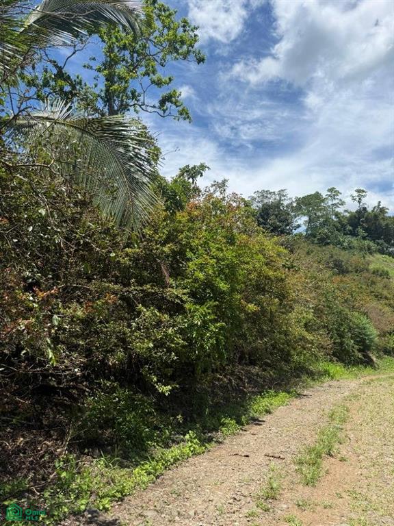 0 bed Land For Sale in Turrialba, Cartago - 1